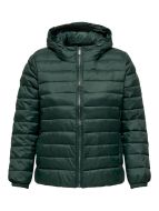 Takki CarTahoe Hood